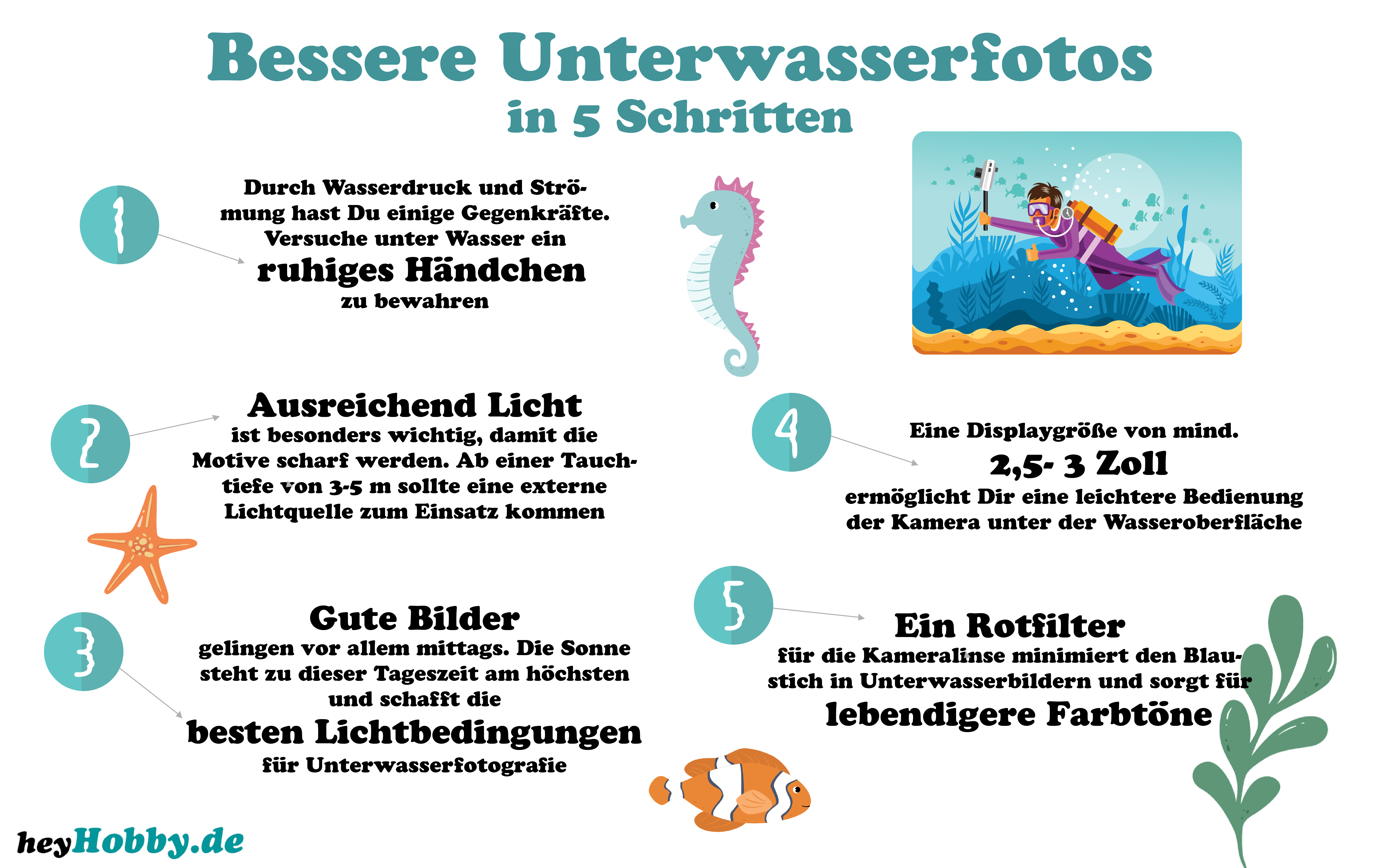 Infografiken Unterwasserfotos Tipps