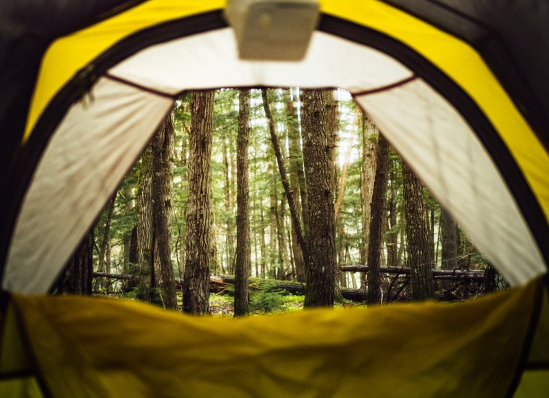 Camping im Wald