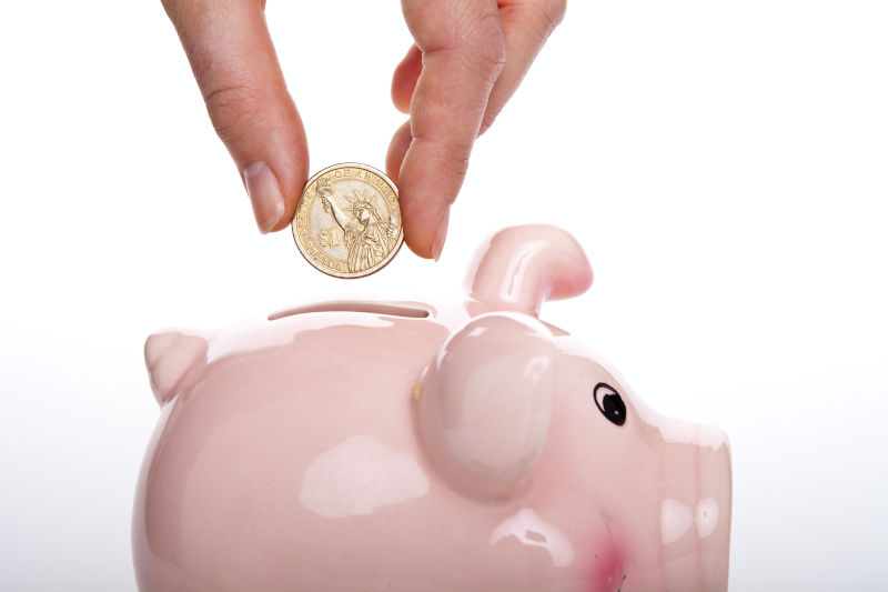 Sparschwein Budget im Sparschwein