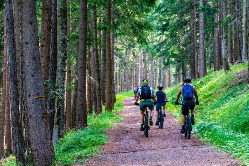 E-Mountainbikes auf Forst-Trails Familie fährt mit E-Mountainbikes Offroad einen Trail im Wald