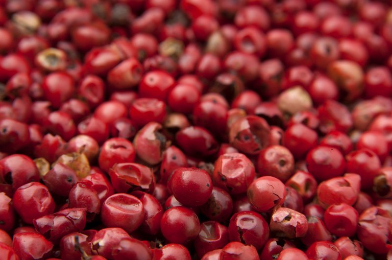 Geerntete rote Goji-Beeren