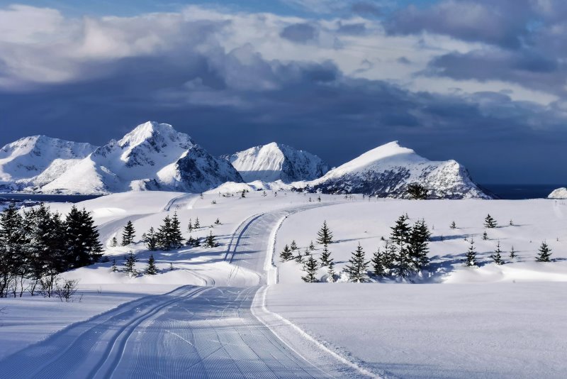 Winterlandschaft mit Loipe und Piste fürs Langlaufen Langlaufski für Loipe oder Piste