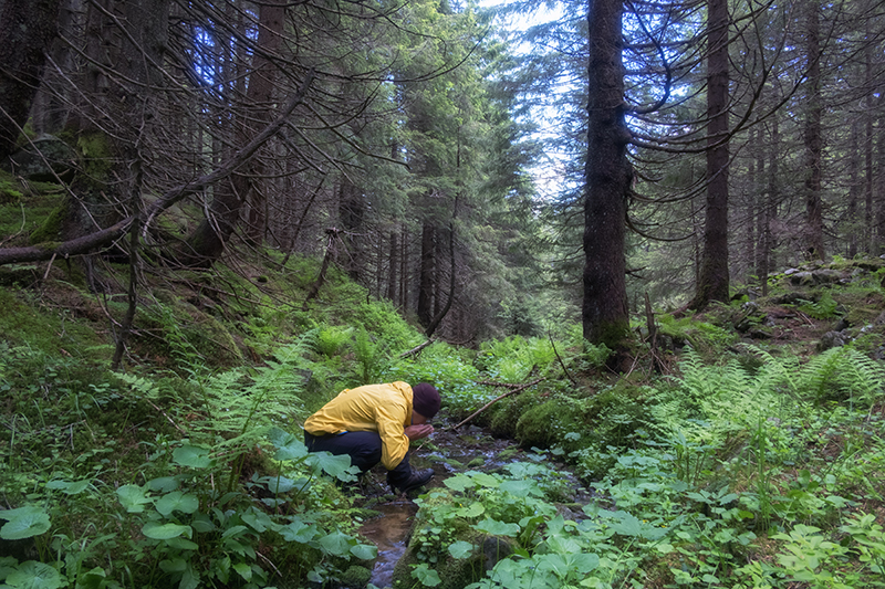 Person trinkt Wasser aus Fluss ohne Outdoor Wasserfilter Eine Person trinkt Wasser aus einem Fluss im Wald