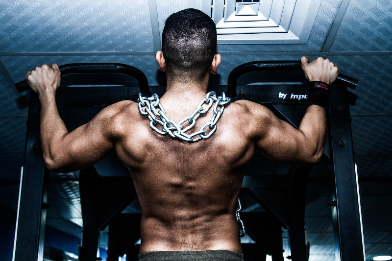 Power Rack im Vergleich