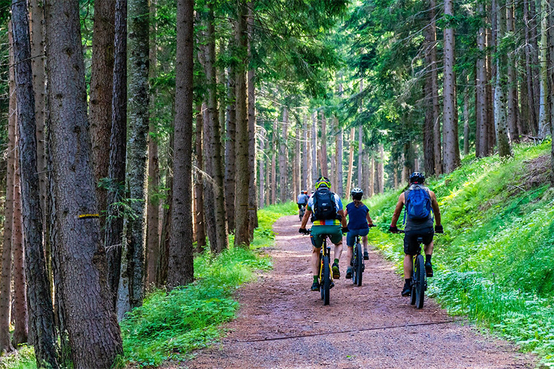Familie auf Trekking E-Bikes im Wald Trekking E-Bike Familienausflug