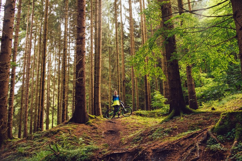Trailbike-Fahrer im Wald Trailbike fahren im Wald