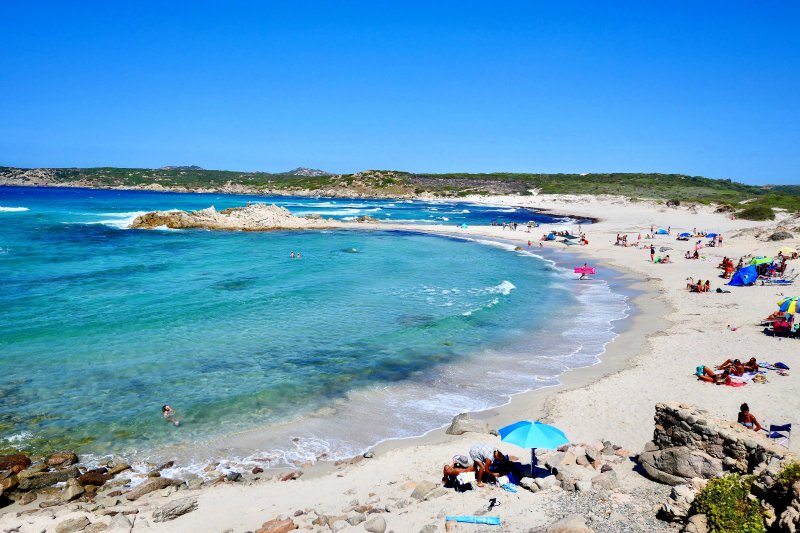 Strand voller Sonnenschirme und Strandmuscheln Strandmuschel im Test