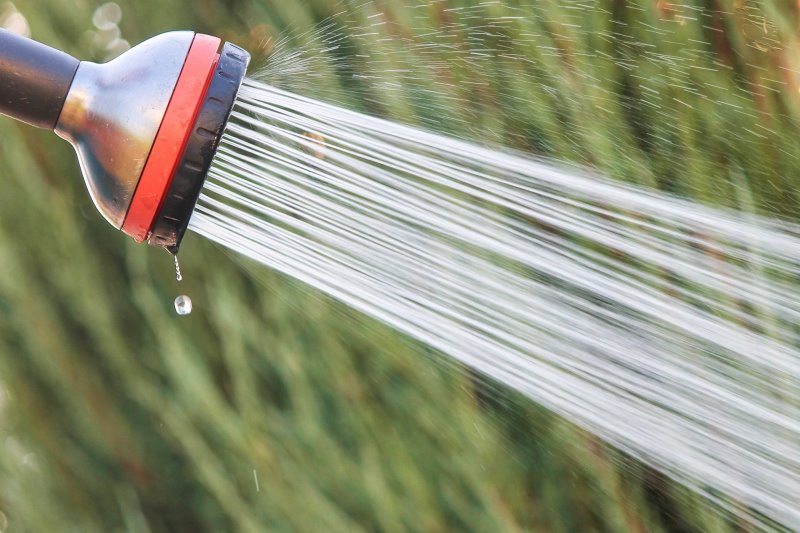 Duschkopf einer Gartendusche