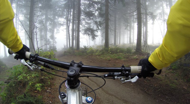 Downhill Lenker im Wald. Downhill Lenker für Mountainbikes.