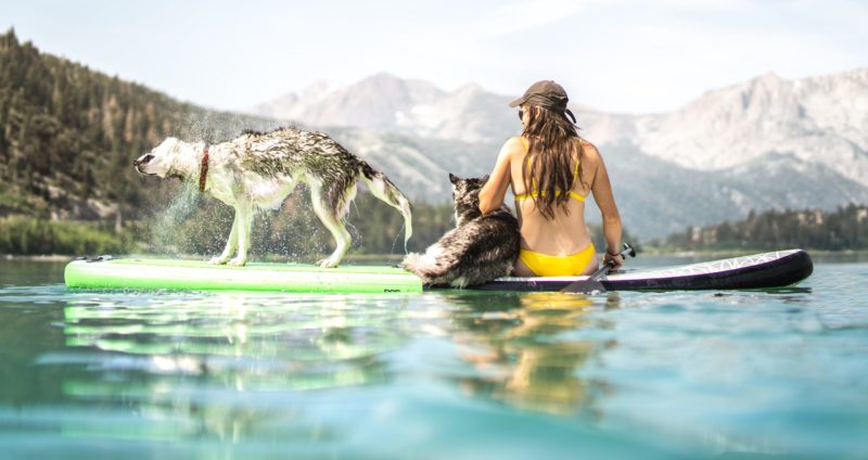 Frau mit zwei Hunden auf SUP