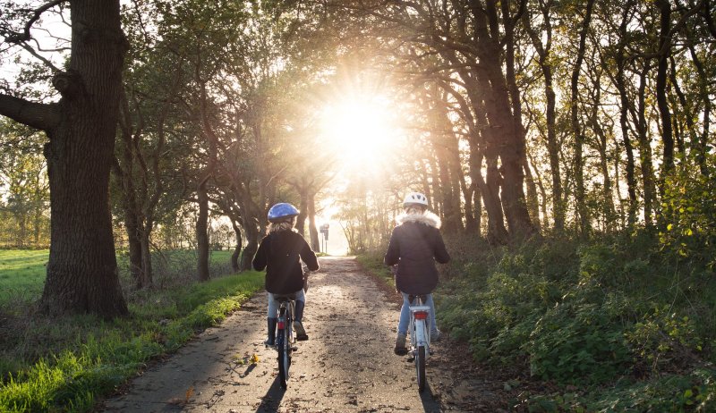 Kinder beim Fahrradfahren Kinder beim Fahrradfahren im Wald