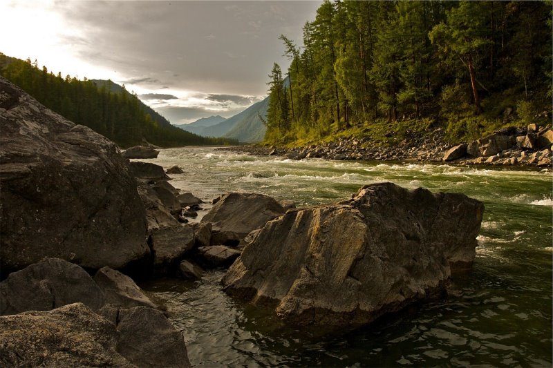 Wasser finden zum Überleben Guide