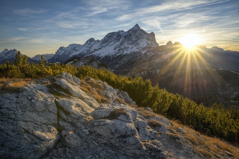 Überleben in der Wildnis Guide