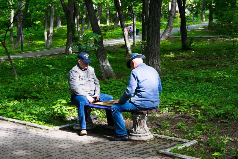 Brettspiel-Senioren Ältere Herren spielen Schach im Park