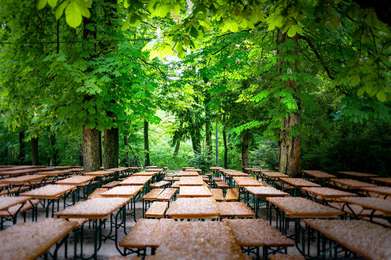 Bierbänke und Biertische in einem Park unter grünen Bäumen