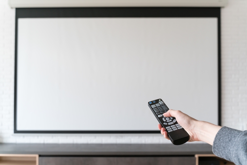 Welche Leinwand ist die richtige?