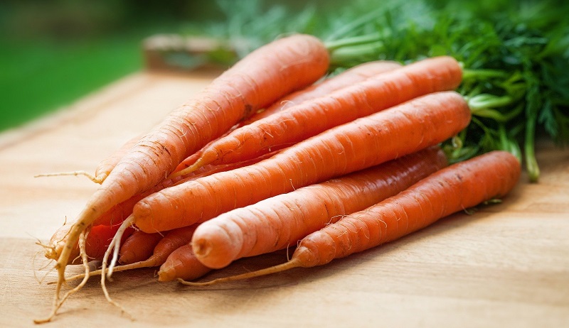 Karotten sind bei der Ernährung ein wichtiger Carotin-Lieferant.