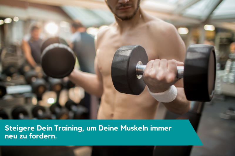 muskelaufbau schnell krafttraining