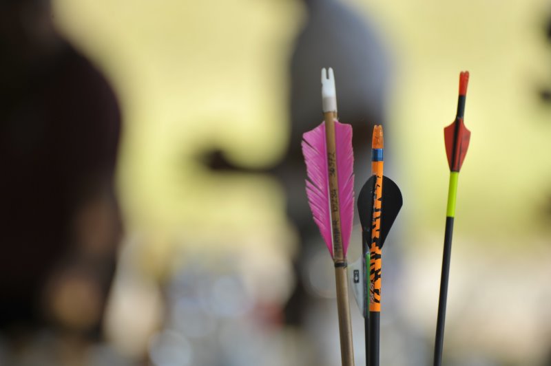 Pfeile für den Recurvebogen Pfeile aus Carbon fuer Recurveboegen