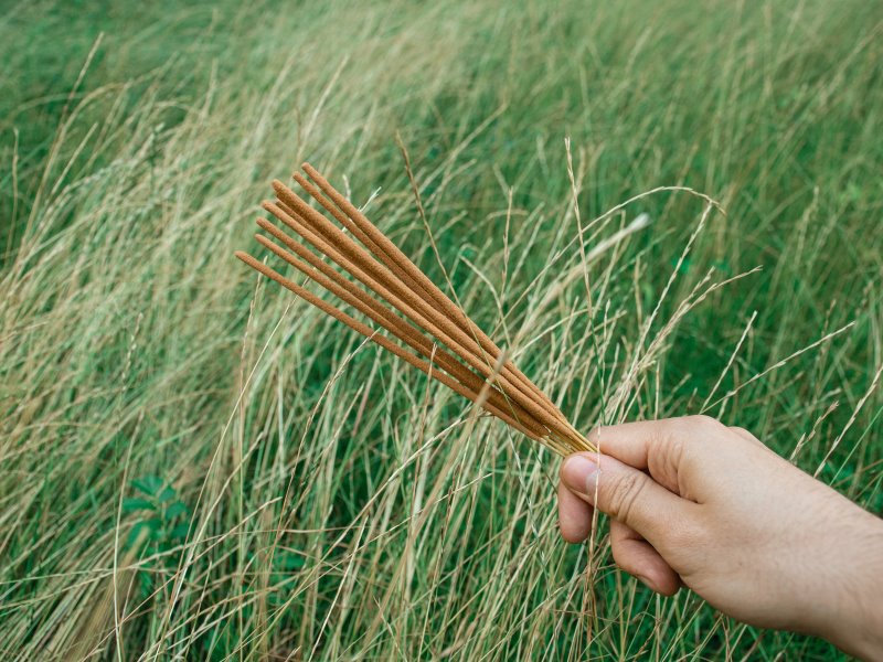 Räucherstäbchen in der Natur, aus natürlichen Inhaltsstoffen