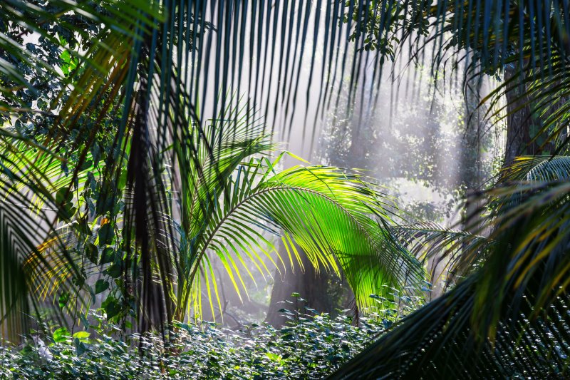 Die ultimative Costa Rica-Packliste Costa Rica-Packliste, Urlaub im Abenteuer