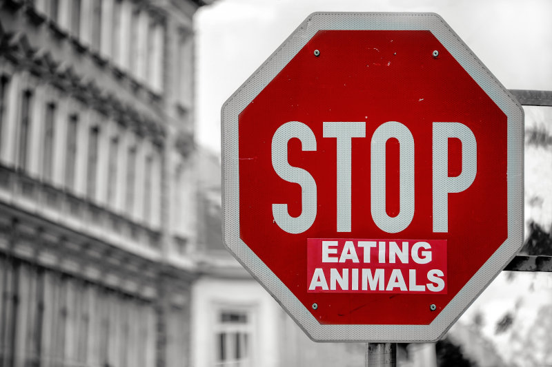 vegan ernähren für den Tierschutz Stoppschild zum Tierwohl mit Aufdruck Stop eating animals