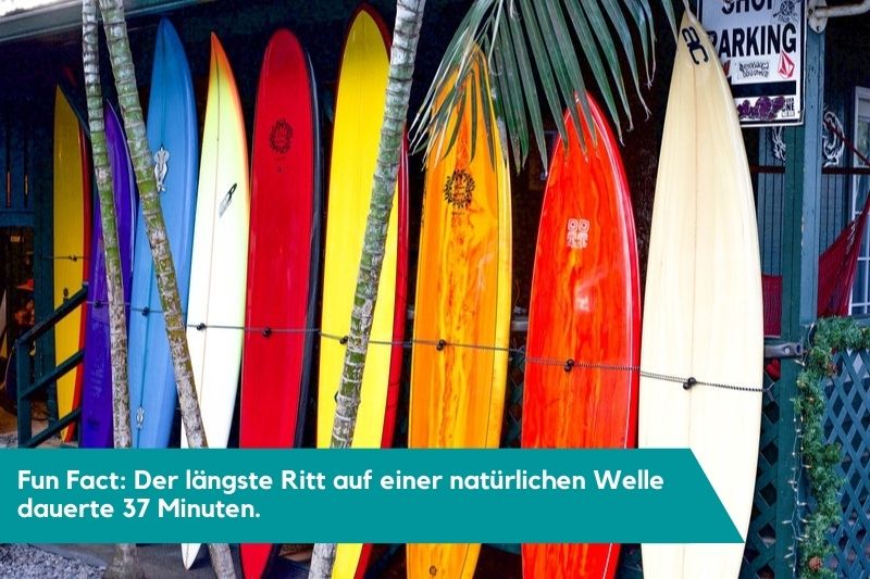 Bunte Surfbretter nebeneinander