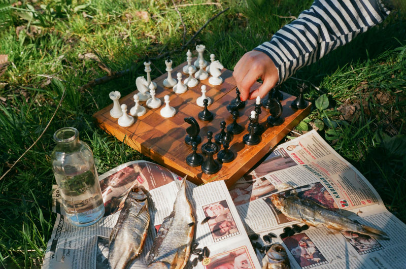 Schachkassette auf Wiese