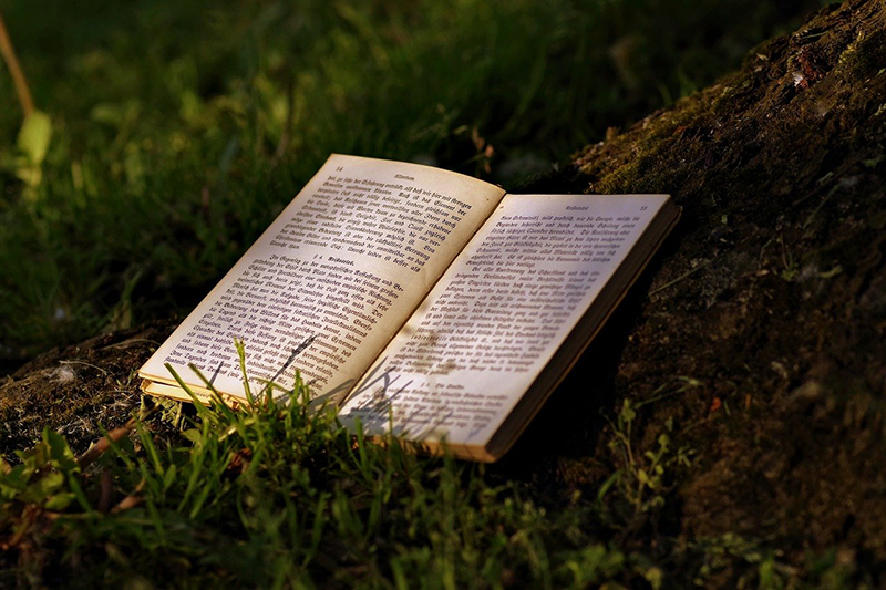 Buch im Wald Buch im Wasl